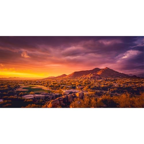 AWERT 24x12 inches Sun and Desert Terrarium Background Mountain Oasis Gobi Reptile Habitat Background Vinyl