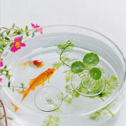 10 PCS Creative Mini Floating Aquarium Plant Holder, Clear Round Floating Floral Arrangement Holder, Simple Style Aquatic Plants Display Stand Mini Vase for Fish Tank Small Single Flower Water Plants