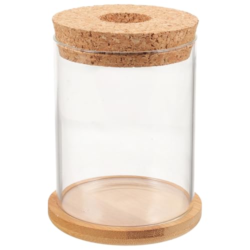jojofuny Glass Fish Bowl and Hydroponic Plant Terrarium, Small Cylindrical Aquarium with Mat, Desktop Decor for Home and Office, 8x10cm