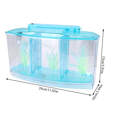 Small Fish Isolation Fish Tank, LED Acrylic Aquarium Fish Tank, Transparent Fish Isolation Box with 2 Isolation Plates for Small Fishes Betta Shrimp Guppy (Blue)