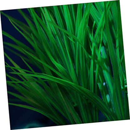 balacoo Green Lifelike Aquatic Scallion Grass for Fish Tank Decoration Realistic Artificial Water Plants with Base for Aquarium Landscape Simulated Scenery