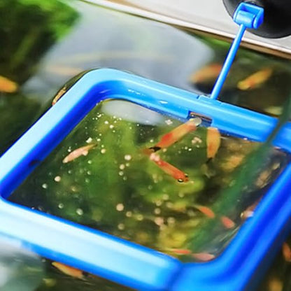 3pcs Aquarium Fish Feeding Rings Set Floating Plastic Fish Feeder Circles for Small Tanks Anti-Diffusion Blue Aquarium Accessories for Tank Feeding