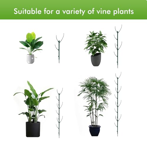 Stackable Twig, 5 Pack Plant Support Frame & Plant Cage Support Rings for Sphagnum, Twig Trellis for Indoor Outdoor Plants Potted Plants Flower Other Climbing Plants