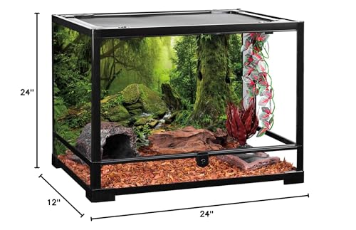 AWERT Tropical Forest Terrarium Background Stream Green Huge Tree Reptile Habitat Background Foggy Rainforest Aquarium Background 24x12 inches Polyester Background - size: 24 x 12 inches