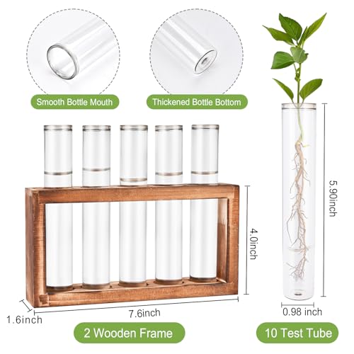 2pcs Desktop Glass Plant Propagation Station with 10 Test Tubes in Wooden Stand - Hydroponic Plants Cutting Office Home Decoration and Garden Decor Terrarium (10 Tubes)