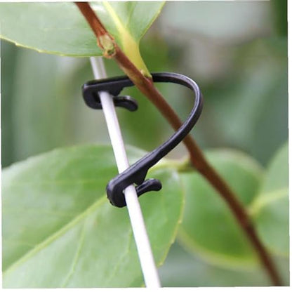 300PCS Grape Vine Trellis Clips - Compatible with Raspberry Canes, Kiwi, Grapevines, Plant Support Ties, Garden Training Buckles & Hooks