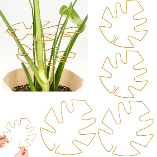 4 Pack Plant Stem Support, Adjustable Metal Monstera Plant Support Small 2PCS & Large 2PCS, Plant Supports for Indoor Plants Moss Pole Growth Plant Support Ring (Gold) - size: 5.5*5.9/2, 6.3*7.5/2