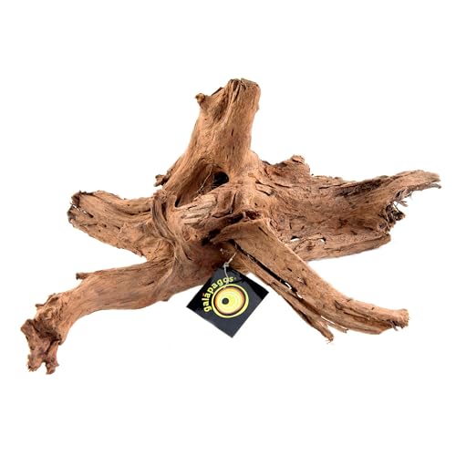 Galápagos (05285) Sinkable Driftwood Bed, Natural, Medium/11-13" - size: Medium/11-13"