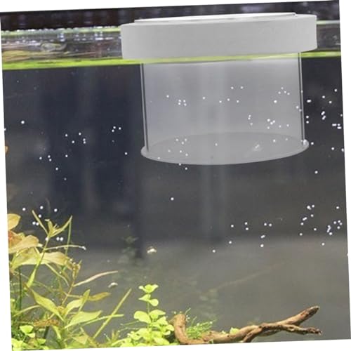 Acrylic Fish Breeding Box Mesh Bottom for Aquatic Nursery Medium Isolation Container for Fry and Shrimp Easy Aquarium Use