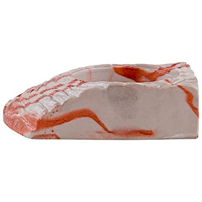 Stepping Stone Feeding Dish - Bearded Dragon Tank Accessories, Turtle Tank Accessories - Large Size