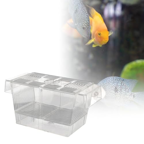 predolo Aquarium Hatching Box for Fish Breeding with Suction Cups for Betta Guppy, L - size: L