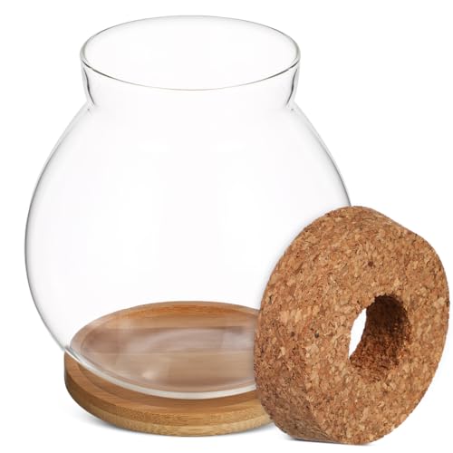 Clear Desktop Fish Bowl with Lid, Small Glass Table Fish Tank with Wood lid Betta Aquarium Plant Terrarium Vase for Home Office Decoration, 13X14cm/3.9X4.2in