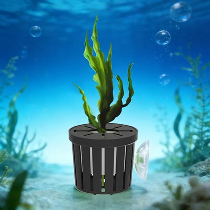 Fish Tank Plant Holder | 4 Pieces Suction Cups Cultivation Cups | Aquarium Plant Pots | for Fish Tank Betta Shrimp Freshwater Terrarium Home Workplace Decor