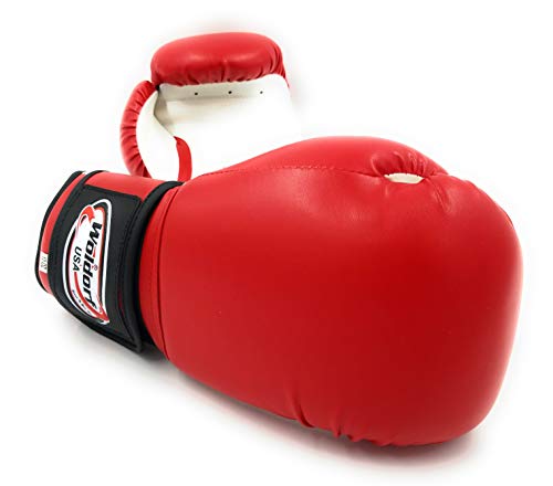 Boxing Gloves Men Women | Kickboxing Gloves | Adult Heavy Punching Bag Gloves Mitts Focus Pad Workout | Heavy Bag Fighting Muay Thai Gloves, 4 8 10 12 14 16 Oz