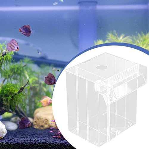 Baoblaze Aquarium Breeder Box Breeding Box Betta Clown Separation Net Guppy Separator Hatchery Breeder, Clear