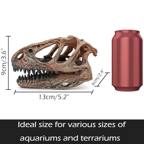 Fish Hideout Aquarium Décor Decorations Dinosaur Skull Fish Tank Decor Cave Dinosaur Skull Betta Animal Halloween Large Tarantula Reptile Bones Snake for Terrarium Ornament