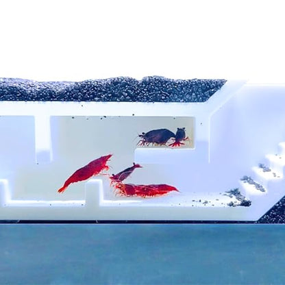 Shrimp Cave Underground Maze Tunnel | Viewing Shrimp Freshwater Hide Tunnel | Aquarium Shrimp Breeding Cave Perfect for Small Shrimp, Cherry Shrimp, Dwarf Shrimp (White) - color: White