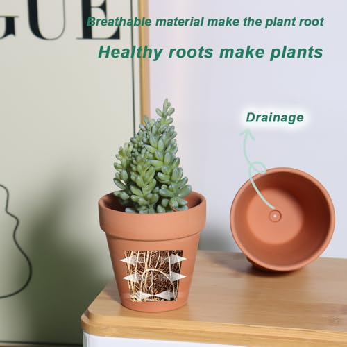 3 Inch Terra Cotta & Terracotta Pots with Drainage - 20 Pack Clay Flowerpots, Succulent Nursery Planter Great for Plants, Crafts, Wedding Favor - color: Brown