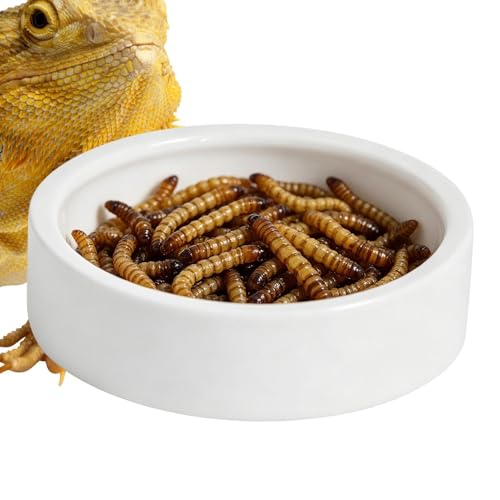 Betta Fish Rest Bed – Irregular Aquarium Landing platfórm, Suction Cup Shrimp Shelter Decor, Multifunction Tank Hiding Accessory for Small Aquatic Pets