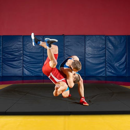 BalanceFrom 6x4 Feet 4-Panel Folding Gymnastics Mat – 2-Inch Thick Pad with Vinyl Surface and Carrying Handles for Tumbling, Yoga, Pilates, Home Workouts, and Martial Arts - color: Black