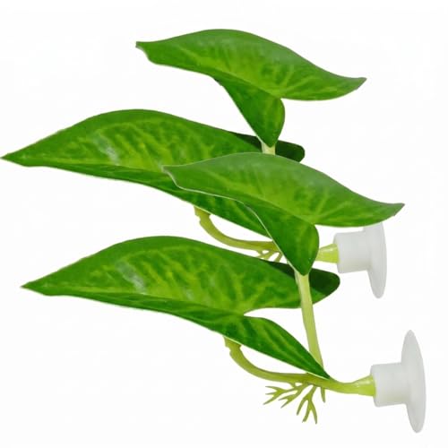 2 Pack Betta Fish Tank Accessories,Betta Fish Leaf Pad Improves Betta's Health by Simulating The Natural Habitat - Natural, Organic, Comfortable Rest Area for Fish Aquarium Ornaments