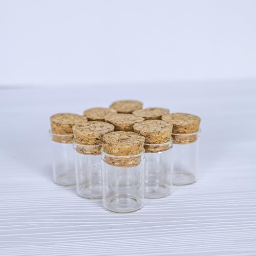 6 Pcs Empty Transparent Test Tube Glass Bottle Vials With Cork Stopper, Clear Glass Bottles Jars for Wedding Favors Art Crafts DIY (22x30x17mm 0.17 OZ)