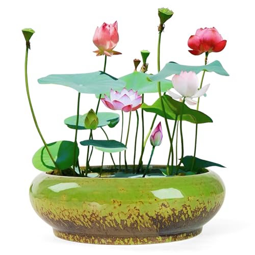 ARTKETTY Lotus Bowl Planter - 7.3 Inch Large Lotus Flower Bowl for Water Plants, Ceramic Hydroponic Planter Water Lily Bowl for Planting Aquatic and Indoor Succulent Plants and Bonsai - color: Green