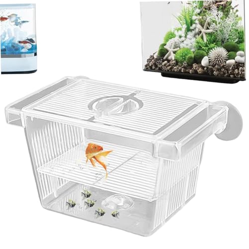 Fish Breeding Box, Transparent Insulation Breeder Box for Fish Tank, 5x3x3 Detachable Plastic Small Tank for Babies, Shrimp, Clown and Guppy