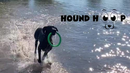 Professional Dog Fetch Toy for Medium & Large Breeds - Rolling Fetching Tire & Chase Ring for Outdoor Training & Water Retrieval Play - Helps Improve Agility, Balance, Speed - 10x1.5… - color: Blue