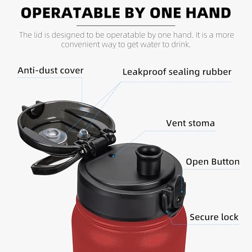 Fanhaw 20 oz Insulated Stainless Steel Water Bottle with Anti-Dust Chug Lid, Leakproof Vacuum Metal Everyday Use Bottle for Kids, Teens & Adults, Back to School Essentials (Red) - color: Red, style: 20 Ounces