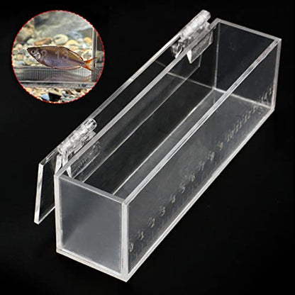 MagiDeal Fishing Fish Viewing Box Acrylic with Lid Mini Aquarium Outdoor Indoor Small Portable Safe Fish Breeder Hatching Boxes with Scale