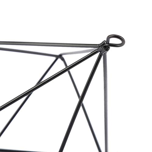Air Plant Holder,Metal Geometric Hanging Airplants Plant Hanger, Freestanding Hanging Geometric Plant Stand, Flower Hanger Moss Fern Plant Pot Decor(Black)