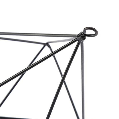 Air Plant Holder,Metal Geometric Hanging Airplants Plant Hanger, Freestanding Hanging Geometric Plant Stand, Flower Hanger Moss Fern Plant Pot Decor(Black)