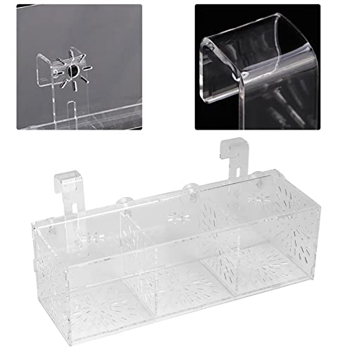 Transparent Acrylic Fish Tank Breeding Box, Aquarium Isolation Incubator, Separation Breeder Box for Fish, 30 cm x 10 cm x 10 cm