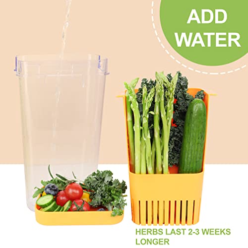 Fresh Herb Keeper for Refrigerator, Clear BPA-Free Herb Saver, Storage Container for Cilantro, Parsley, Thyme, Mint & Asparagus, Preserver Keeps Fresh Herbs for 3 Times Longer, Orange