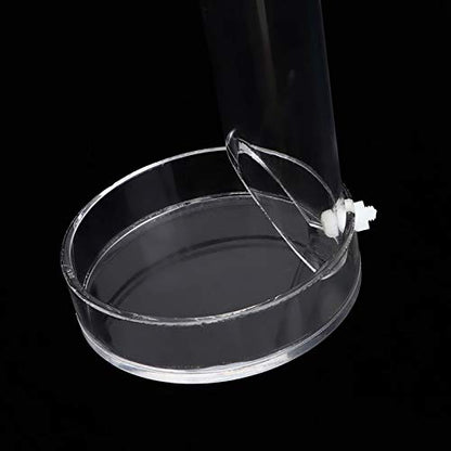 Aquarium Feeder, Acrylic Transparent Fish Feeding Tube with Tray Aquarium Fish Shrimp Feeder with Fixing Bracket Suction Cups(20cm)