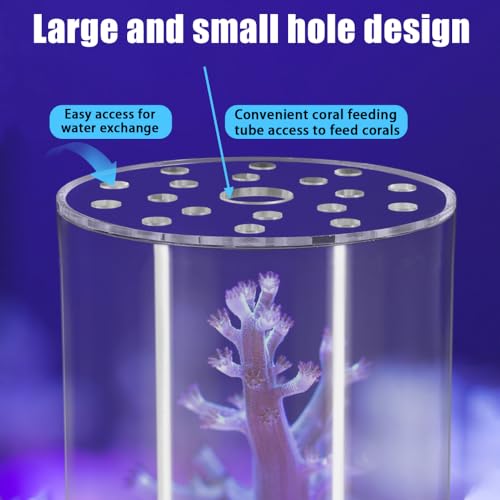 DONGKER Coral Feeder Cover, Transparent Acrylic Coral Breeding Protection Cover Avoid Food Floating Around for Aquarium Fish Tank(80mm,100mm,120mm) - size: CFC-100