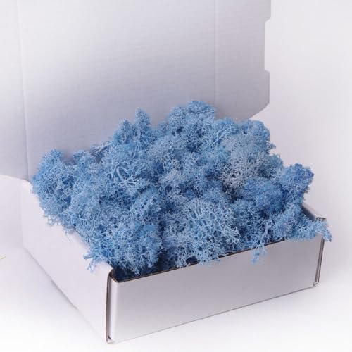 ACADOIT Preserved Moss-3.5 OZ Moss for Crafts Faux Moss Decor Natural Green Moss for Art Wall Florist Decor(Sky-Blue 3.5 OZ) - color: sky-blue, size: 3.5OZ