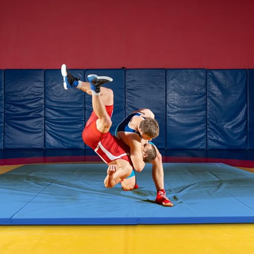 BalanceFrom 6x4 Feet 4-Panel Folding Gymnastics Mat – 2-Inch Thick Pad with Vinyl Surface and Carrying Handles for Tumbling, Yoga, Pilates, Home Workouts, and Martial Arts - color: Blue