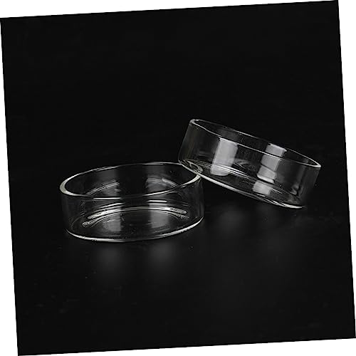 BESPORTBLE 3pcs Round Shrimp Feeder Dish Crystal Transparent Bowl for Aquarium Shrimp and Reptiles Durable Pet Food Bowl Decorative Feeding Container for Fish Tanks - size: Size 1