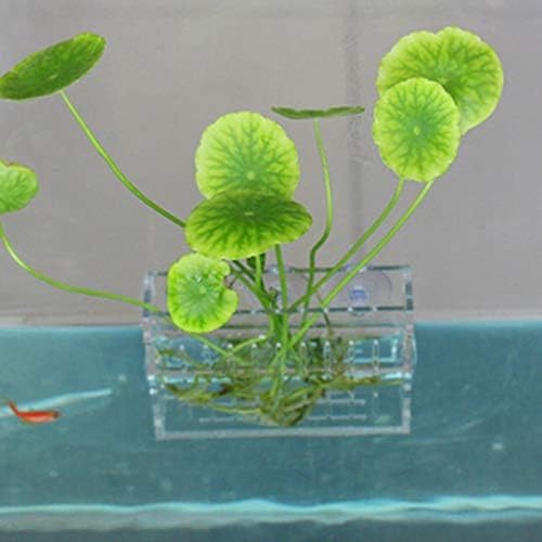 La La Pet Acrylic Mini Suction Cup for Aquatic Plants Transparent Water Plant Cup Pot Holder for Aquarium Fish Tank Decor Small - size: Small