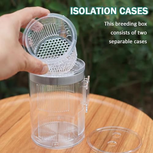 La La Pet Floating Fish Breeding Isolation Box with Suction Cups 270°Flowing Water Propagation Separate Parent and Baby Fishes Transparent Hatching Boxes Incubator for Tanks Large