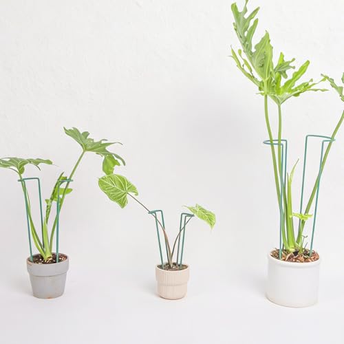 Indoor Plant Stakes – 8.7" U-Shaped Durable Iron Support for Monstera & Potted Plants, Perfect for Small to Medium Climbing Plants, 10-Pack, Ideal for Home Décor & Plant Lovers