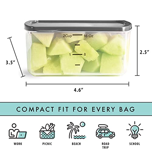 Fit & Fresh Small Plastic Containers With Lids 16 oz, Small Snack Containers With Lids For Adults and Kids, Reusable Leakproof Dressing and Condiment Containers With Two Attachable Ice Packs, 4PK, Light