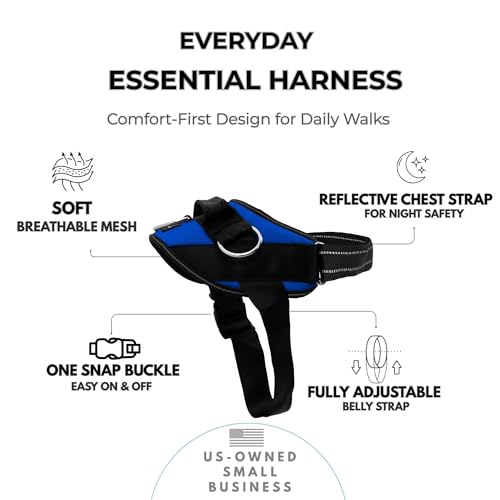 ShawnCo Essential Dog Harness, No-Pull Pet Vest (Electric Blue,XS) - color: Electric Blue, size: XS