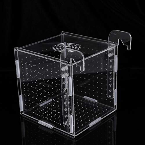 Aquarium Fish Breeding Box - Transparent Acrylic Fish Tank Hatchery Hanging Incubator for Shrimp Clownfish (Hook 151516cm)
