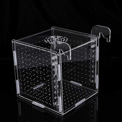 Aquarium Fish Breeding Box - Transparent Acrylic Fish Tank Hatchery Hanging Incubator for Shrimp Clownfish (Hook 151516cm)