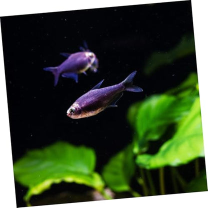 Self Adhesive Aquarium Background Roll PVC Fish Tank Wallpaper with High Resolution Underwater Scenery Easy Installation Fit for Various Tank - color: Black