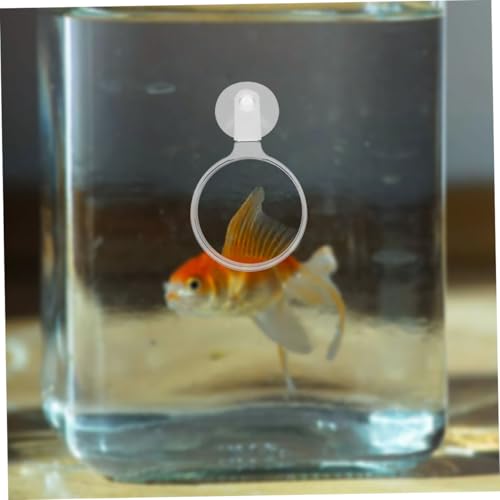 4pcs Fish Tank Glass with Cups Clear Acrylic Lens for Easy Observation of Betta Fish Plants and Creatures Aquariums