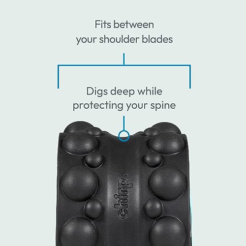 Chirp Wheel XR 3-Pack Foam Roller Set, Back & Neck Pain, 10/6/4" Black - size: 3-Pack (10, 6, 4 Inch) Black